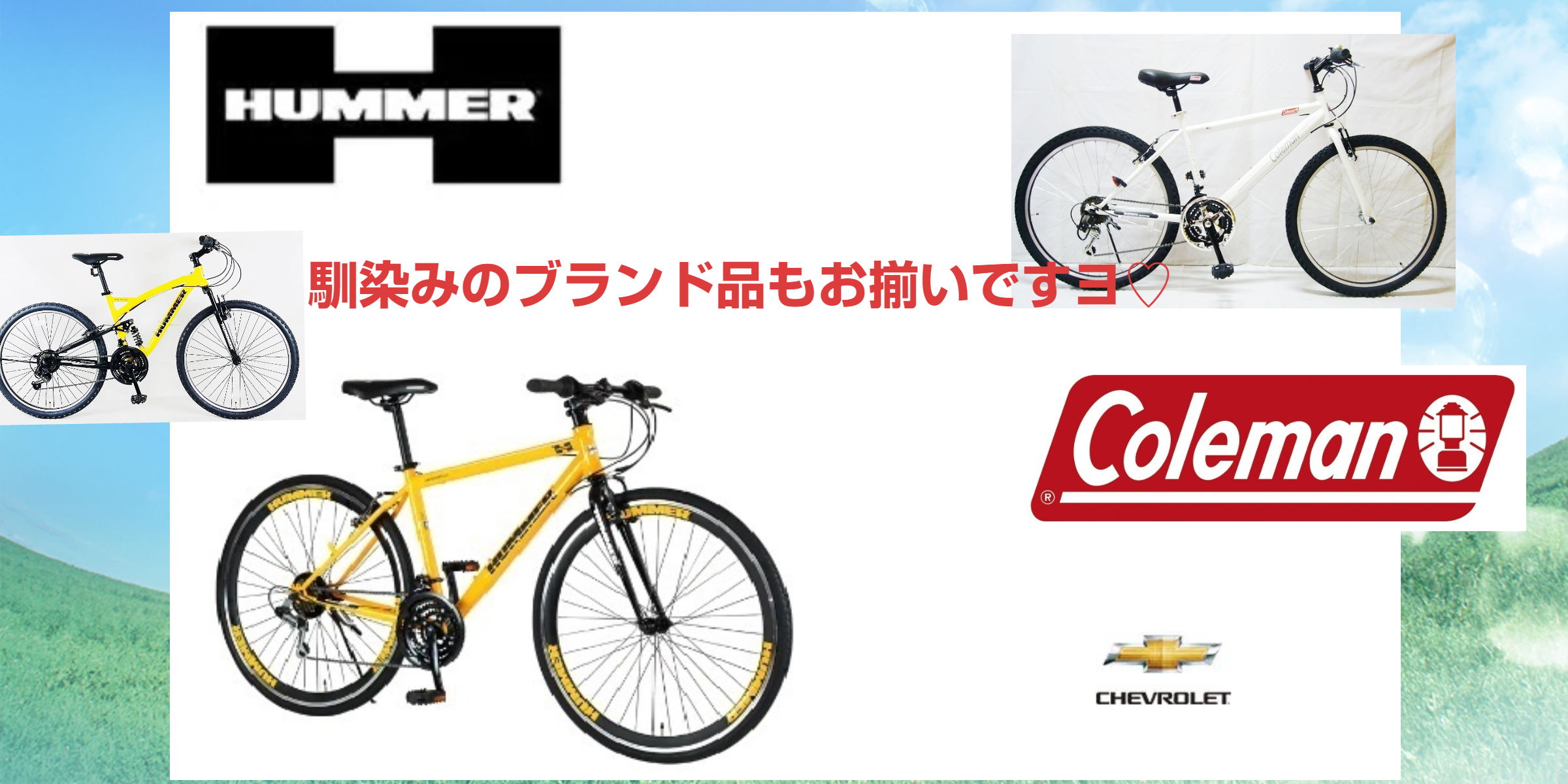 沖縄自転車通販（沖縄県の自転車屋）、#電動自転車、#電動アシスト自転車、等、エブリシィングバイスクルシヨップ